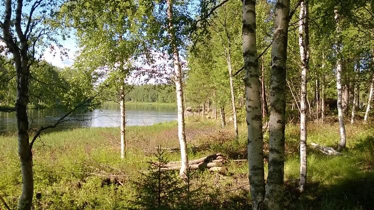 Maisematiedotustyötä 2014 Infotilaisuuksia ja kyläkävelyitä Tänä vuonna myös Aittojärvi-KyngäsSuomen paras maisemahanke kilpailuaineiston