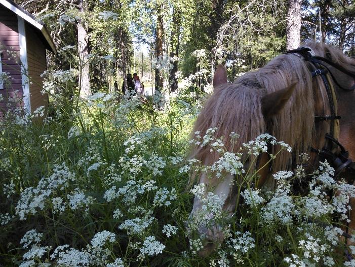 tiedonvälitystä kehitetään, mutta se ei koskaan kokonaan korvaa