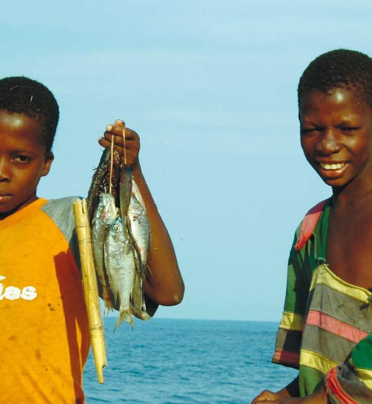 A new strategy launched during 2006 aims to integrate ETVO more closely with KEPA s other work promoting member organisations projects and partnerships in the South.