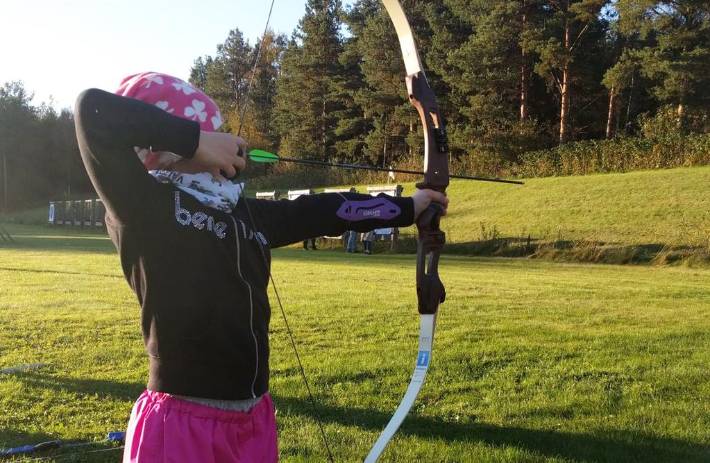 Lisääntyikö liike, löytyikö harrastus? Harrastuskokeilut 1.7. 15.11.2016 Harrastuskokeilut käynnistyivät kesällä ja kokeilujaksot päättyivät 15.11.mennessä.