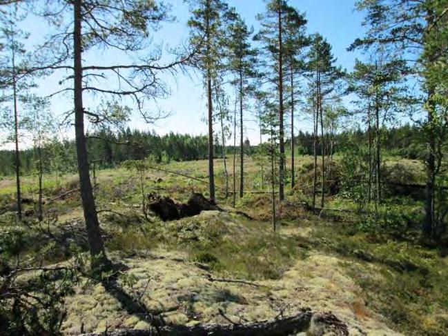 Kalliokohoumaa ei voida pitää ensisijaisena tuulivoimalan sijoituspaikkana.