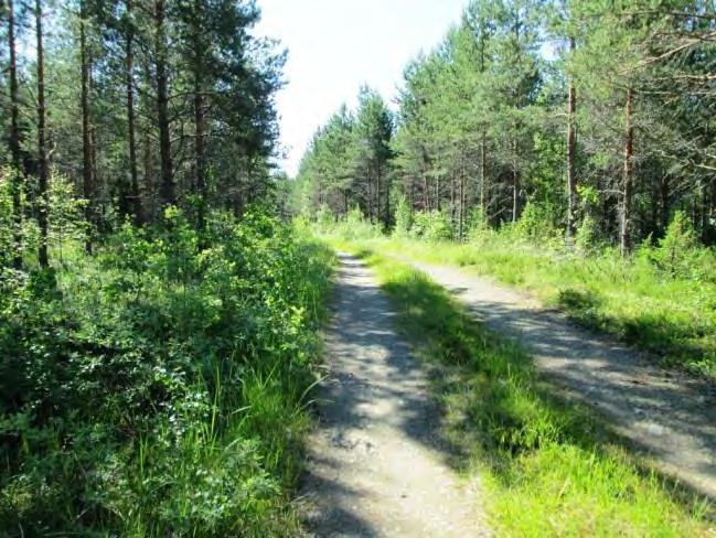 (Stormossen W 5) Lyhin etäisyys lähimpään tieyhteyteen noin 10 m. Kohde sijoittuu metsäalueelle metsäautotien välittömään läheisyyteen.