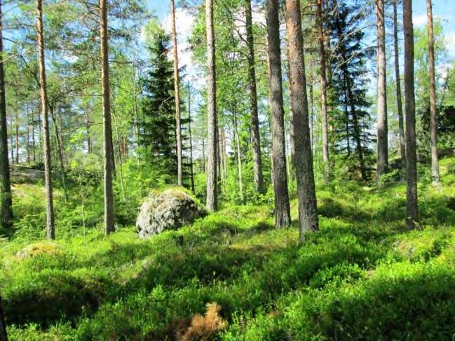 kohopaikoilla. Kohde 35. Kohde 35. 36. (Stormossen S 4) Lyhin etäisyys lähimpään tieyhteyteen noin 480 m.