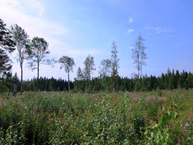 Kohde 40. Kohde 40. 41. (Stormossen E 10) Lyhin etäisyys lähimpään tieyhteyteen noin 230 m.