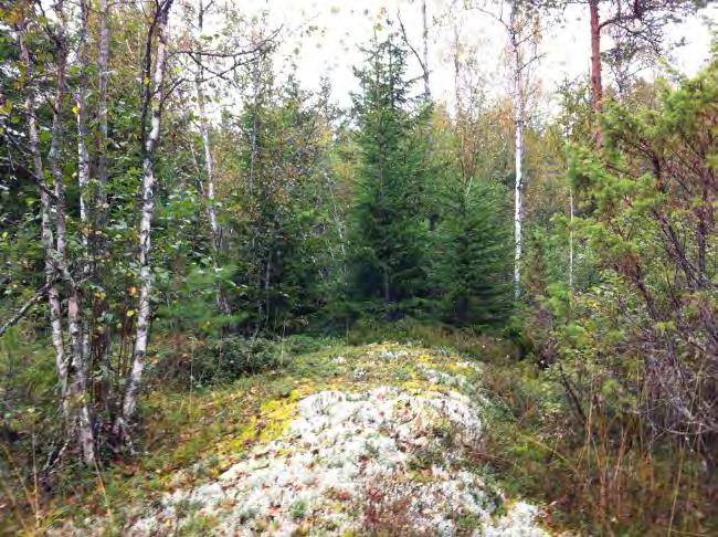 Kohde 22. Kohde 22. 23. (Stormossen E 3) Lyhin etäisyys lähimpään tieyhteyteen noin 220 m.