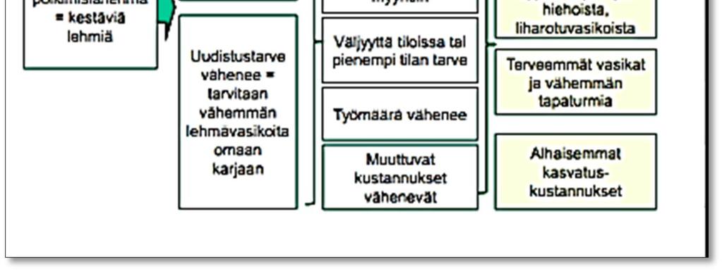 Holsteinlehmät lypsävät 10,45 kg EKM/ elinpäivä ja ovat keskimäärin karjassa 5,1 vuotta. Holsteinlypsylehmien osuus on karjoissa kasvamassa laskien samalla lehmien keskimääräistä tuotantoikää.