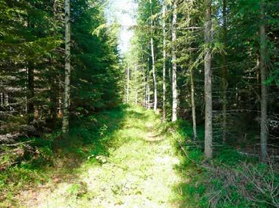 Länsi-Toholammin tuulivoimapuiston arkeologinen inventointi 2013 Alue