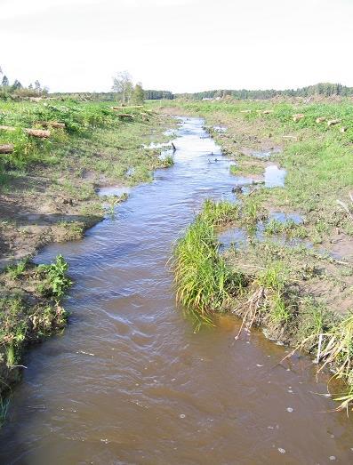 Luonnonmukaisten peruskuivatusmenetelmien hyödyntäminen ELY alueilla Onko luonnonmukaisten