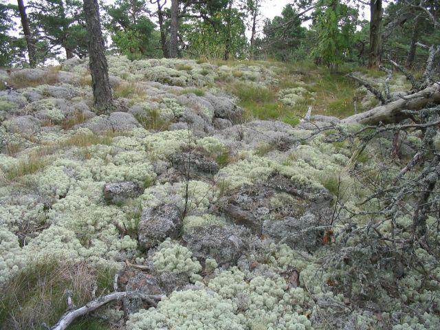 Etelästä DG1031:4. Röykkiö 3.