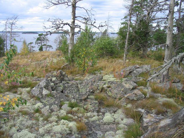 Stora Vådholmen 2 1000014405 Laji: kiinteä muinaisjäännös Ajoitus: ajoittamaton Muinaisj.