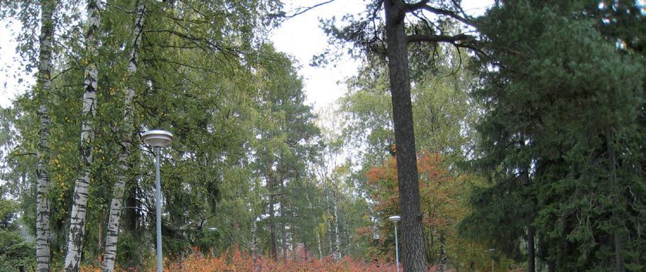 TAPIOLANTIE Tapiolantien ympäristö on puistomainen. Tapiolantien vierellä, pensaiden suojassa kulkee Tapionraitti, kevyenliikenteenväylä.