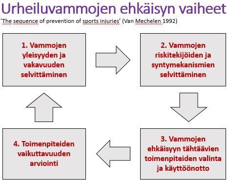 ymmärtää loukkaantumiseen johtava tapahtumaketju ja miten siihen voitaisiin vaikuttaa.