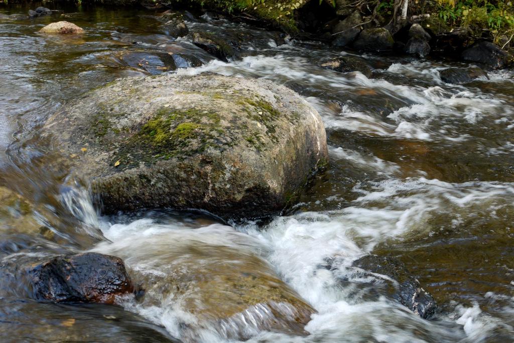 Osallistujien ajatuksia hankkeesta Opettavainen prosessi, yhteensovittamista edistävä. Hyödyllistä katsoa myös muista näkökulmista. Syventänyt tietoa laajasta kokonaisuudesta. Mielenkiintoinen hanke.