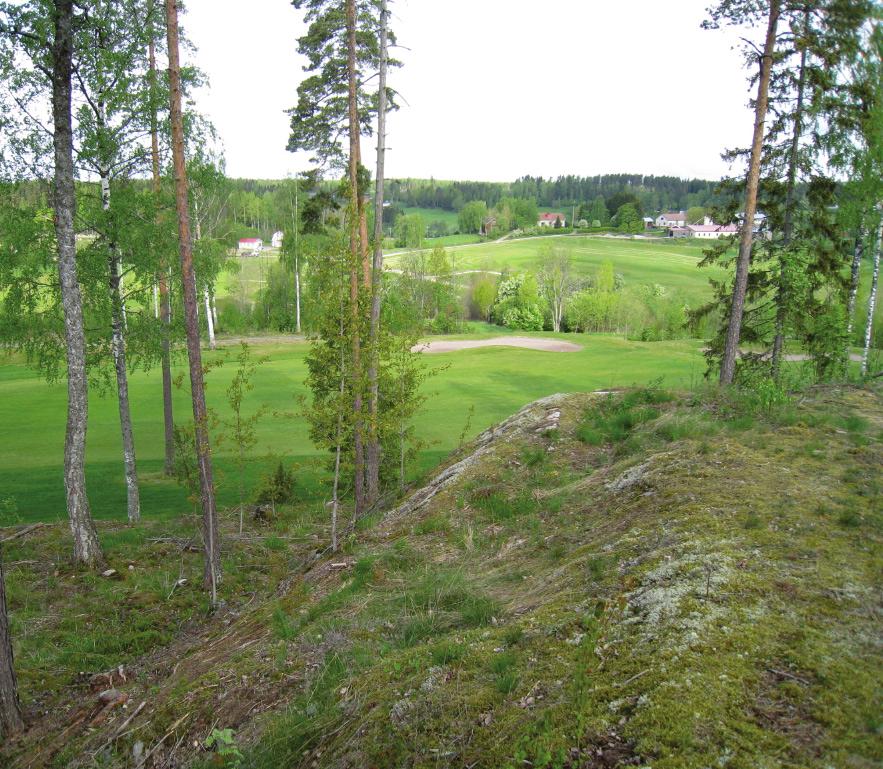 Kaava Jo 1 Jokikunnan Hill Side