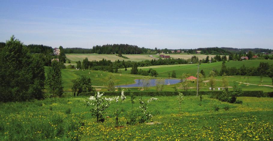 SUUNNITTELUN LÄHTÖKOHDAT Hillside Golf & Country Club Oy:n kenttä on kaavatyön aloitusvaiheessa ollut 27-reikäinen. Kenttä on avattu vuonna 2005.