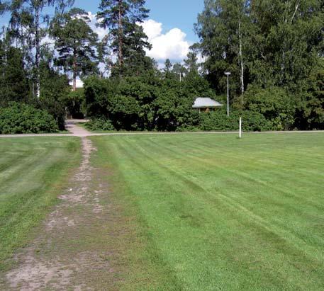 Hanhet, jotka laiduntavat Silkkiniityillä, likaavat ajoittain nurmen käyttökelvottomaksi. Kuvat: B&R 1. Kirsikkapuita oli eteläreunalla alun perin Opintien kaarteeseen asti.