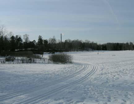 Reunakasvillisuuden ei tarvitse olla tasaikäistä, vaan nuorta ja vanhaa lajistoa voi olla sekaisin.