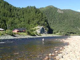 Vuosittaiset lohisaaliit Gaulalla ovat parhaina vuosina vaihdelleet 30 ja 50 tonnin välillä. Joki on erittäin kaunis ja kirkasvetinen ja sopii hyvin perhokalastukseen. Gaula Flyfishing.