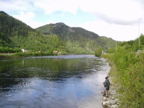 Gaula Flyfishing Perhokalastusalue Hieno Fishmasterin 6,1 km pitkä Gaula Flyfishing perhokalastusalue joka sijaitsee Gaula-joen keskiosalla, Hovinissa, Störenistä alavirtaan päin.