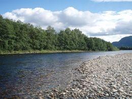 Syvänteen jälkeen virta kiihtyy uudelleen, alaosassa on pitkä kosken niska-alue joka kannattaa kalastaa loppuun asti. Sen jälkeen seuraa lyhyt koski ennen Stasjonshöleniä.