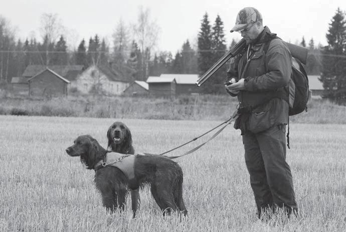 Koiran perimässä on ominaisuuksia, johon voimme merkittävästi vähemmän vaikuttaa, mutta kuuliaisuutta voimme omalla työllämme kehittää. Kyse on mielestäni paljolti johtajuudesta.
