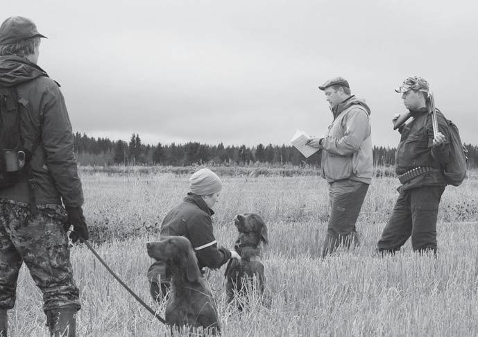 Johtajuuden keskeisimpiä kulmakiviä on oikeudenmukaisuus, joka koirankaltaiselle eläimelle ilmenee ensisijaisesti johdonmukaisuutena. Voitko koirallesi antamaasi palautetta pitää johdonmukaisina?