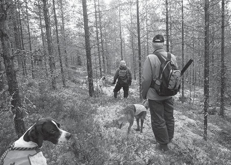 Koetulokset 2012 Metsäkokeet ELOKUU Palkitut 25.8.
