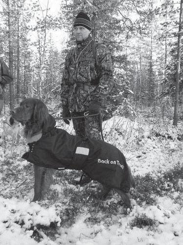 Karppinen Jari AVO2 gsnopendora`s Isabella om. Tero Soronen ohj. Markku Parviainen KUHMO KAME 1.-2.9. AVO3 gsn Terrismäen Capri, ohj. Harri Heino KUHMO KAME 14.-15.9. 14.9. Metsien Mestari karsinta VOI1 isu Douedal s Padraig, ohj.