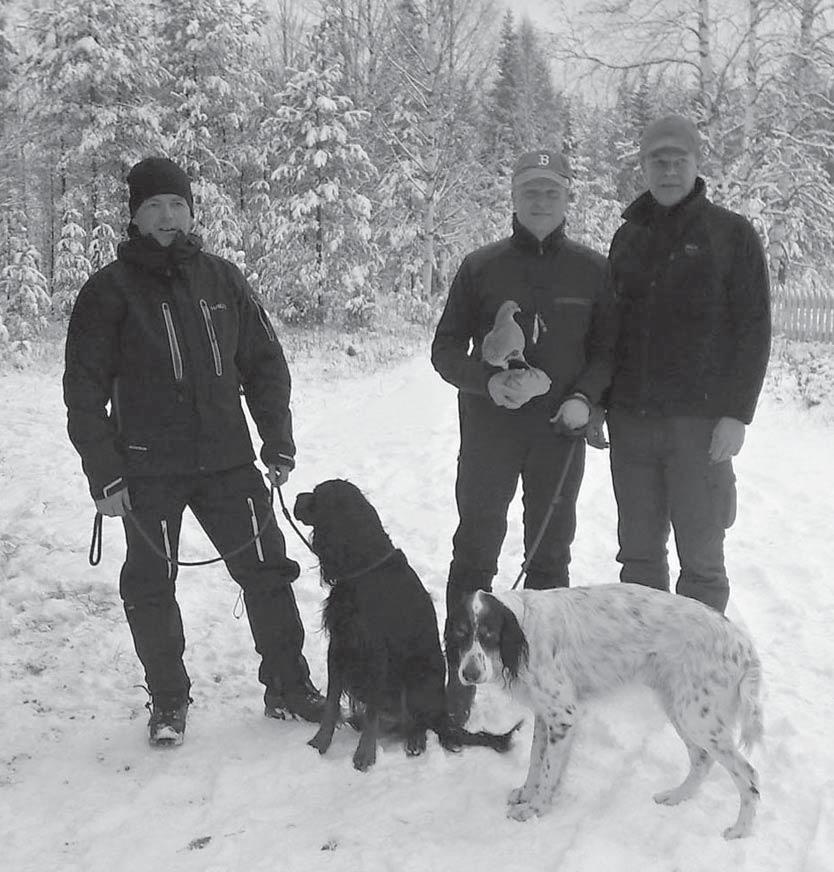 Kuva Marika Syrjälä Kuva Marika Syrjälä LAPUA KAKE 21.10. AVO1 pu Tawastian Sumu, ohj. Timo Laaksonen AVO3 pu Tawastian Siinto, ohj. Keijo Uusimäki NIVALA KAKE 27.10. AVO1 esu Hangman s Grave Digger, ohj.