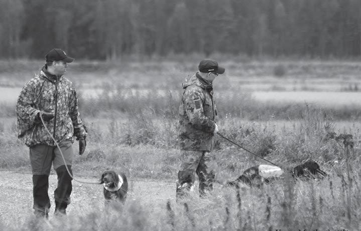 AVO1 pu Tawastian Siinto, Keijo Uusimäki AVO3 pn Hirvasvuopion Eve, Juhani Toivakka AVO3 pn Peltoluovin Nina, Laura Ryyppö AVO3 isu Forestset Hero, Jyrki Toljander AVO3 esu Stjernevannet s Fouga,