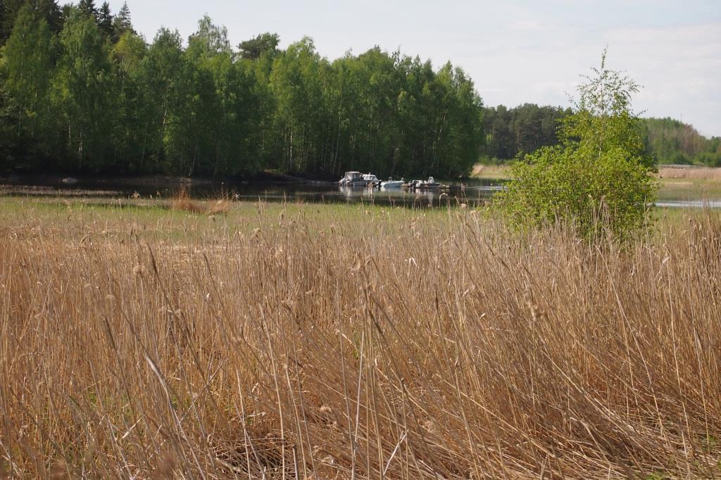 ylälaidassa. Sortunut laituri ja laiturin betonituki etualalla.