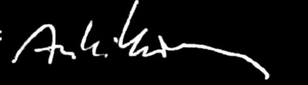 (i) (ii) Initial valuation to determine Reference Item Initial i/reference Item TOM Initial t,i: Final Valuation to determine Reference Item Final i/ Reference Item TOM Final t,i: (iii) Periodic