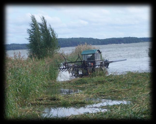 .1.2013 vedenpinnan nosto, Salon kaupunginvirasto ja maaliskuussa vesiviljely