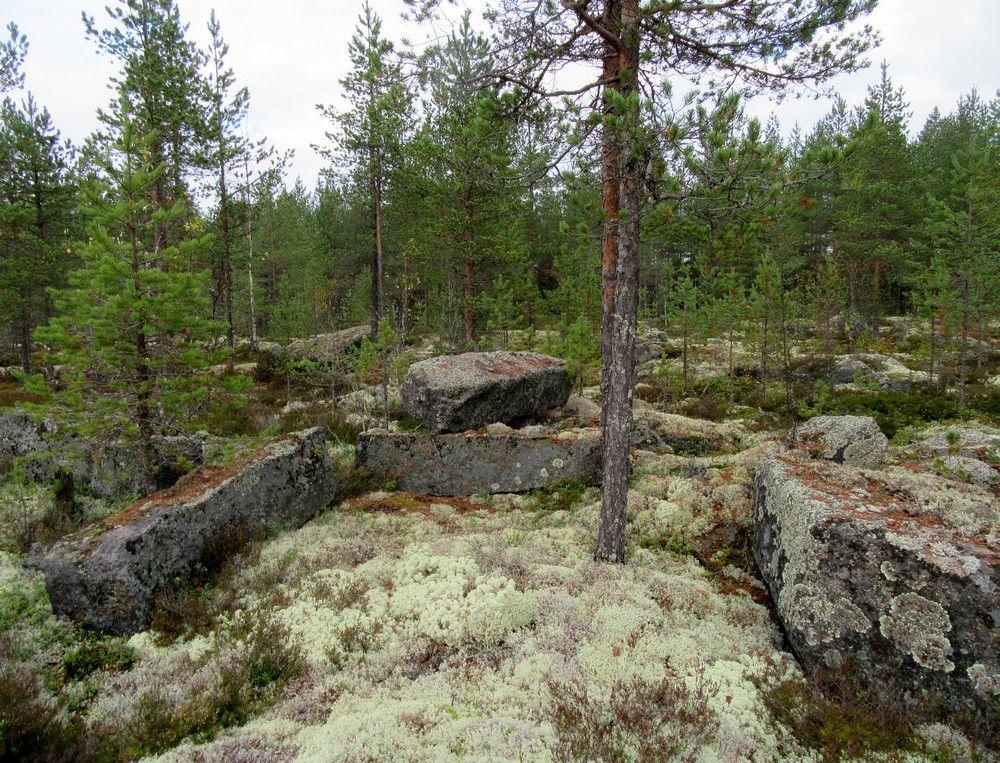 arkeologinen inventointi Jaana Itäpalo ja