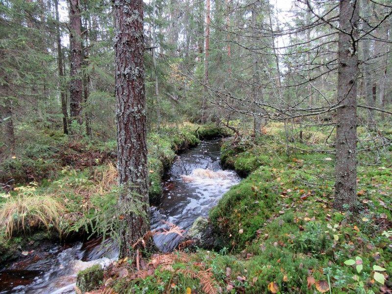 Voimalapaikka 17, itäinen vaikutusalue kuvattu luoteeseen.