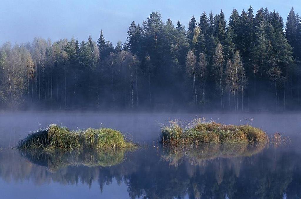 Sovellusesimerkkejä