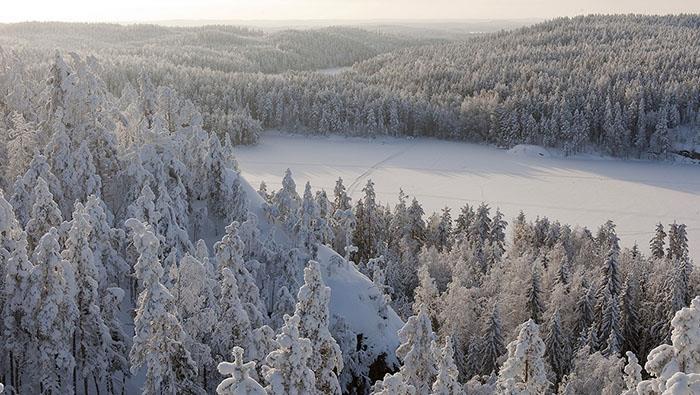 LUONTORESEPTI: Etsi itsellesi mieleinen luontokohde ja käy siellä kävellen, pyöräillen tai muuten mieleisellä tavalla liikkuen säännöllisesti.