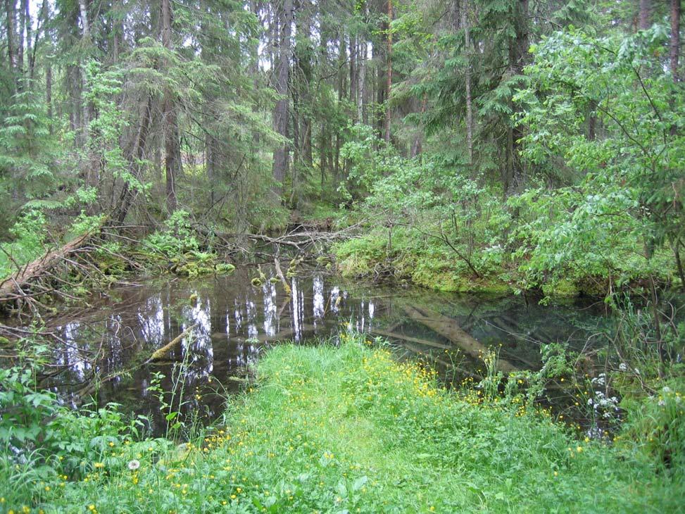 Pohjavesialueen rakenneselvitys 8 Janakkala, Tanttala Kuva 4. Someronlähteet. Pohjavesivyöhyke on tutkimusalueella varsin paksu.
