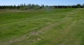 (2010) (2013) Uusien väylien välisen alueen kelamurskaus kerran vuodessa estää vesakoitumisen. Ajoittain jäte olisi hyvä kerätä pois ettei maa rehevöidy tuottamaan leveälehtisiä rikkakasveja.