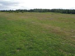 Pintailmastus on rutiinihoitoa, jolla keväällä edistetään itämistä ja torjutaan levää, ja kesällä pidetään pinta vettä ja kaasuja läpäisevänä.