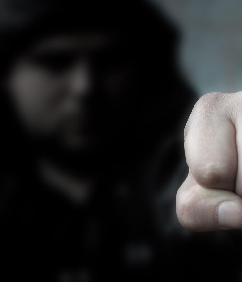 POLIISIN TIETOON TULLEET RIKOKSET Poliisitilasto poliisin tietoon tulleista rikoksista on Suomessa laajin jatkuvasti ylläpidettävä tietokanta rikollisuudesta.