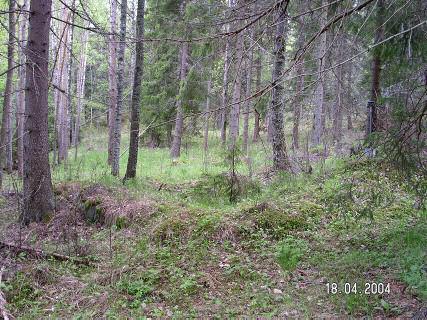 6 Havaitut hist. ajan jäänteet 1 talonpaikka Rauh.