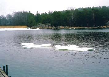 Ekologinen tutkimustieto yhdistyy käytäntöön ekologisessa ja mikrobiologisessa kunnostuksessa, palauttavassa ympäristönhoidossa sekä jätehuollon