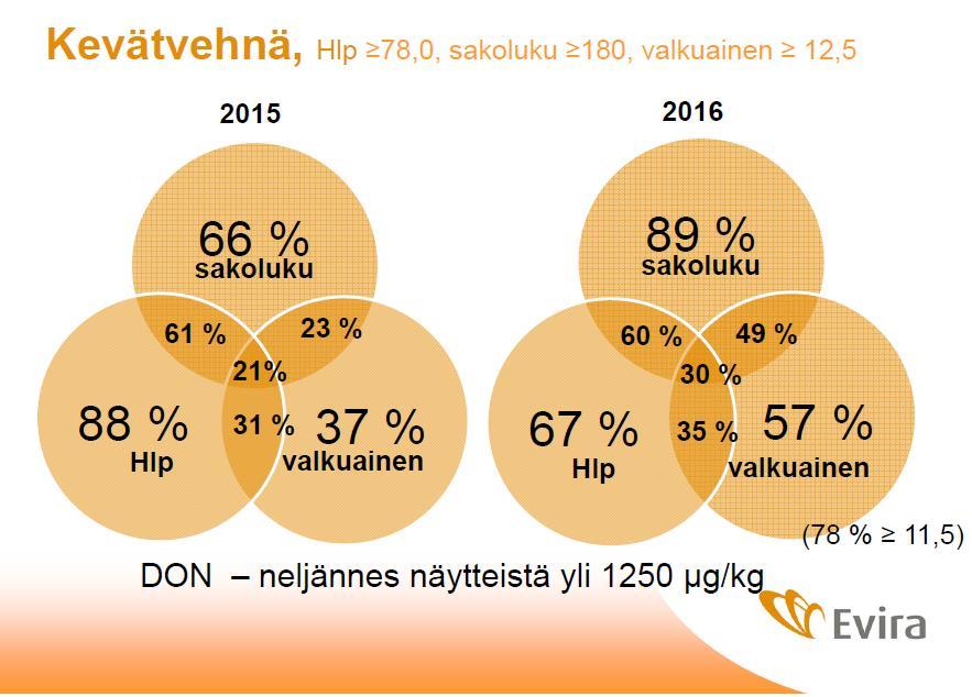 Kevätvehnän laatu Laaturajat vaikuttavat paljon