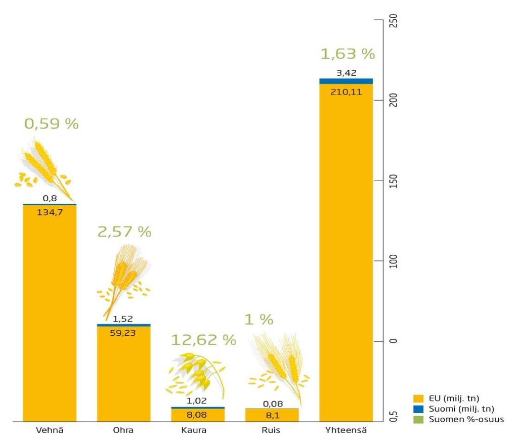 Suomi kaurantuotannon suurvalta EU:ssa kauraa tuotetaan 8 MT, josta Suomen osuus on lähes 13 % Elintarvikekaurassa Suomen