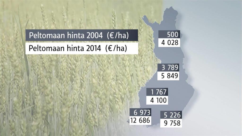 Peltomaan hintakehitys