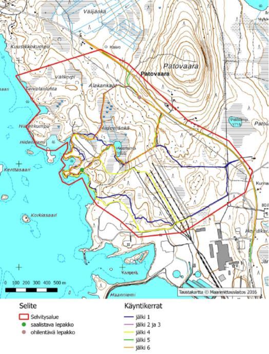 Kuva 4.12-2. Lepakkokartoituksen reitit ja havainnot pohjanlepakoista (PK Jooga ja luonto 2016b). Luontodirektiivin liitteen IV lajin viitasammakon esiintyminen tullaan selvittämään keväällä 2017.