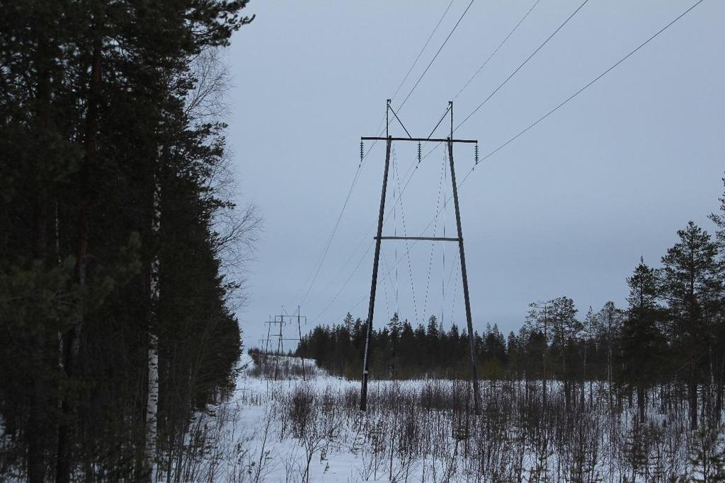 Kuva 4.20-3. Kuva nykyisen voimajohtolinjan reitiltä. Tarkempi selvitys voimajohdon ympäristövaikutuksista tehdään sähkömarkkinalain mukaisen hankeluvan yhteydessä.