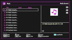 Viewing Music via USB When you select Music from the main options, screen. 0..9 (Numeric buttons): The TV will jump to the buttons on your remote control.