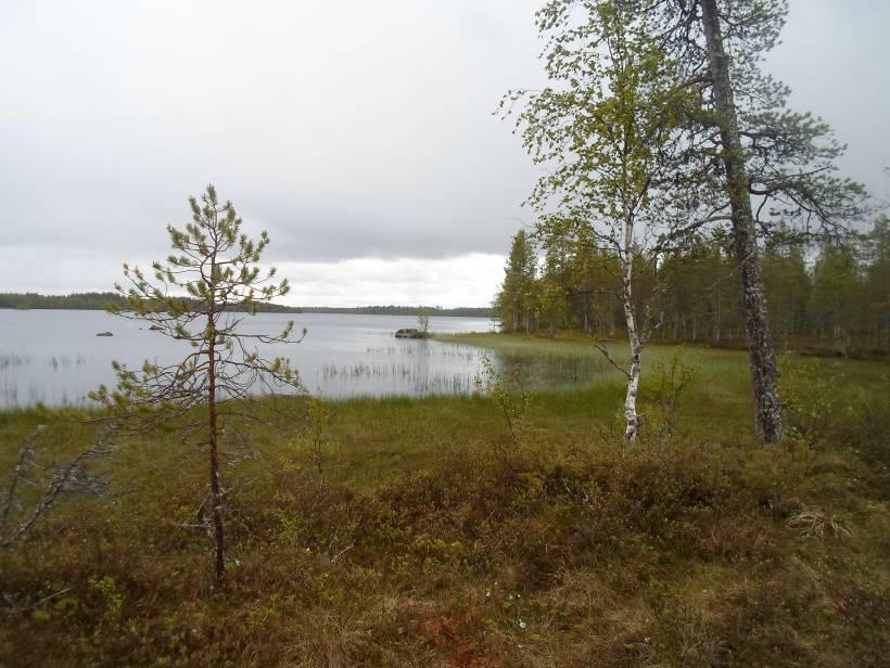 Paikoin joen varrella avautuu kauniita näkymiä uomaan ja sen lähialueelle. Pienen Saukkojärven ranta-alue on peitteinen ja näkymät ranta-alueella ovat suljettuja.